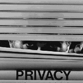 Privacidad en Internet